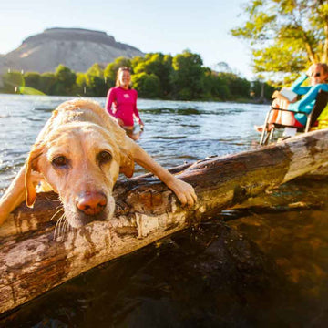 A Paddler's Dictionary