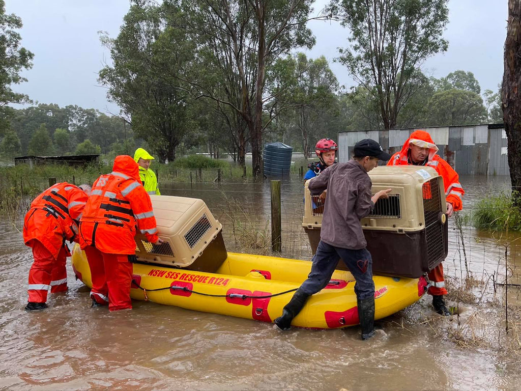 Arkangel Rescue Raft